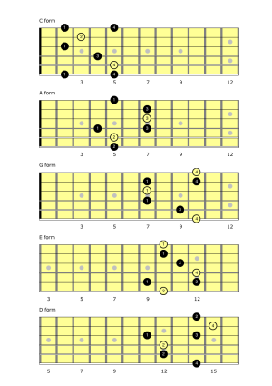 All Caged Major Arpeggio Forms | Self Taught Guitar Lessons